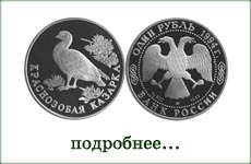 монета "Краснозобая казарка"
