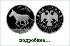монета "Кулан"