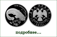 монета "Сом Солдатова"